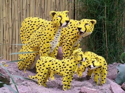 lego cheetah family